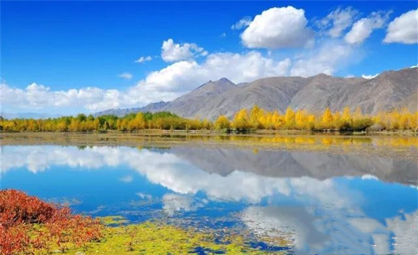 3915k1体育十年品牌值得信任(中国游)官方网站