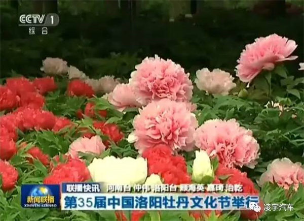 3915k1体育十年品牌值得信任(中国游)官方网站