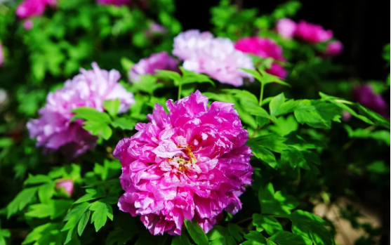 3915k1体育十年品牌值得信任(中国游)官方网站