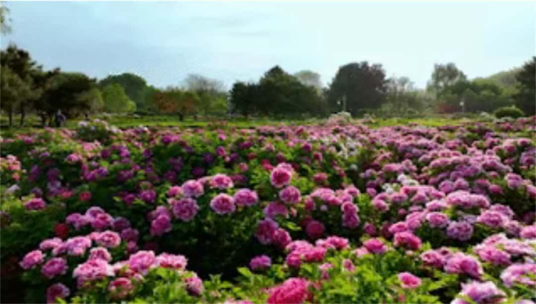 3915k1体育十年品牌值得信任(中国游)官方网站