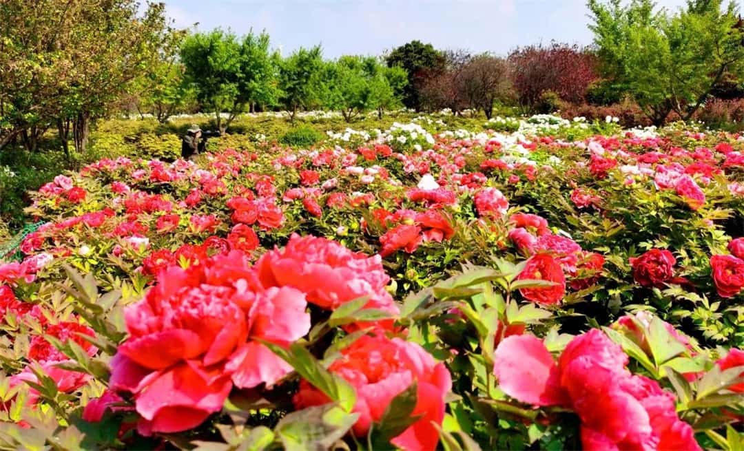 3915k1体育十年品牌值得信任(中国游)官方网站