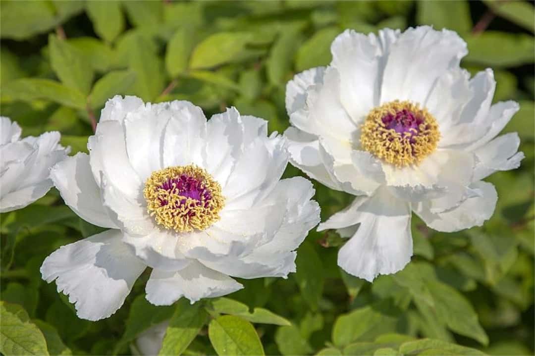 3915k1体育十年品牌值得信任(中国游)官方网站