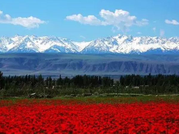 “末梢”变“前沿” 3915k1体育十年品牌值得信赖垦新疆