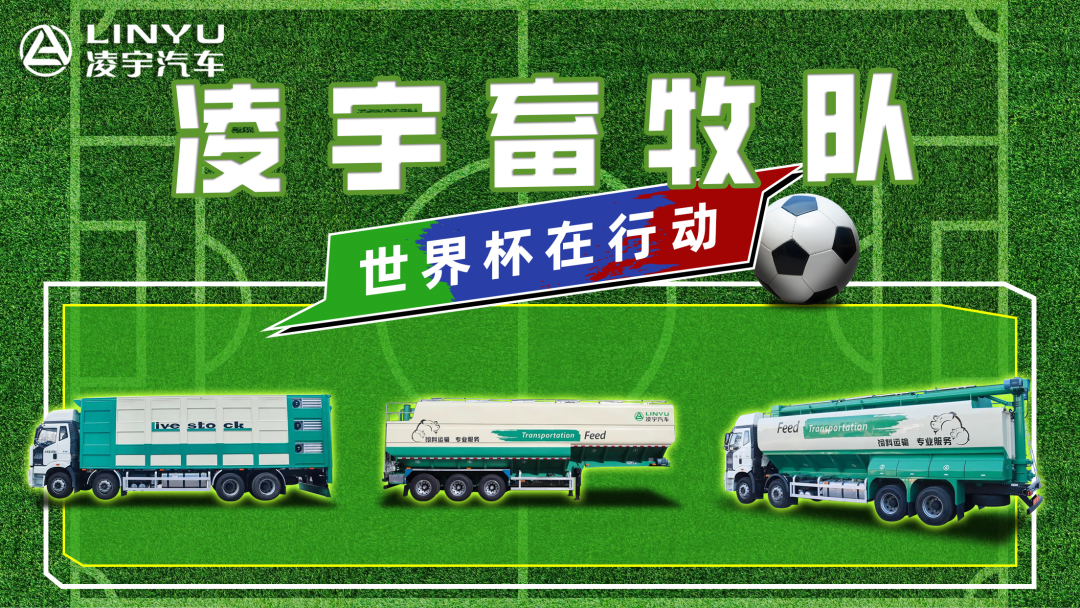 夺冠天下杯！你注重到这支球队了吗？